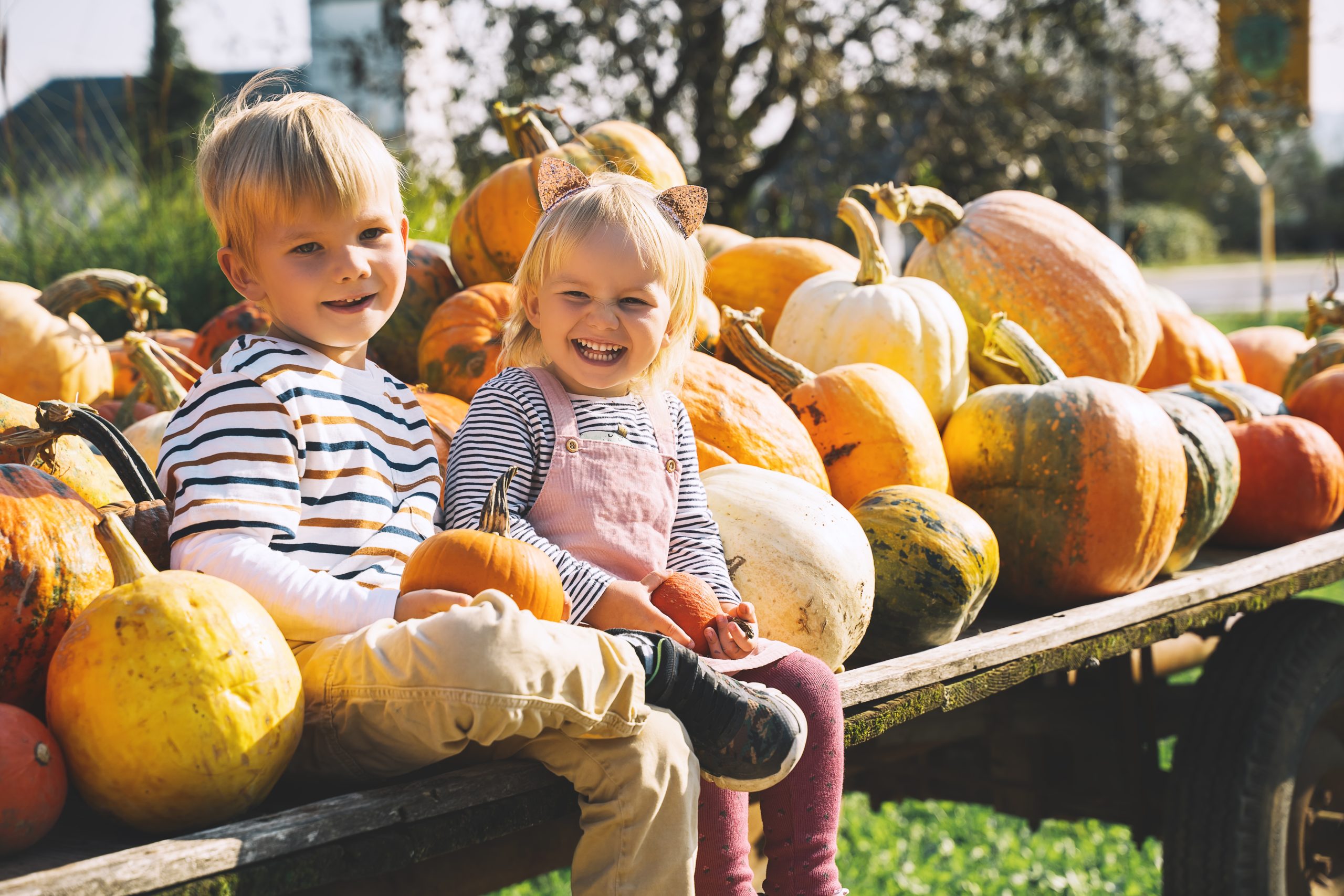 Kids in a pumpkin patch in Charleston SC