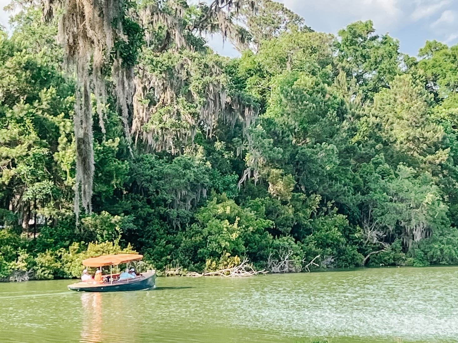 ride an electric Duffy Boat on Palmetto Bluff inland waterway