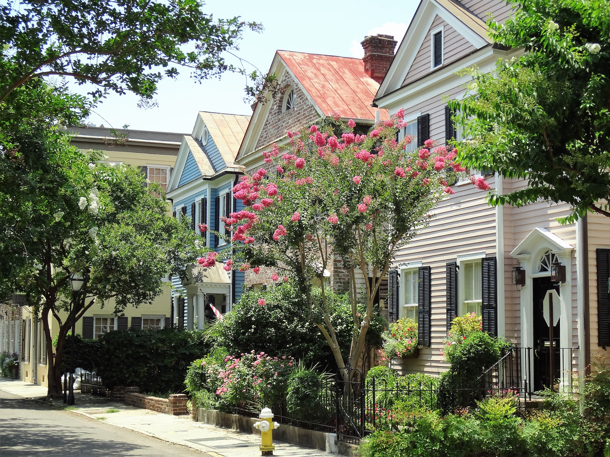 street view of gardens and historic homes Charleston SC